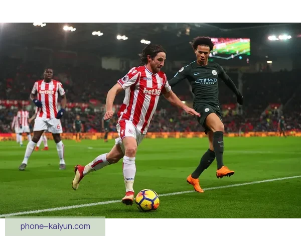 斯托克城足球俱乐部发展历程与未来战略全面解析 斯托克城足球俱乐部发展历程与未来战略全面解析