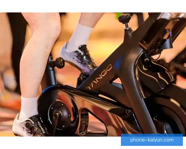 开云体育引领全球运动潮流与创新发展新趋势 开云体育引领全球运动潮流与创新发展新趋势