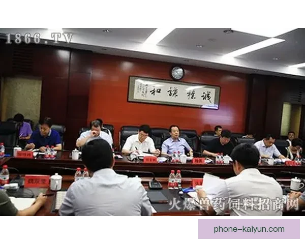 开云新人崛起：探索创新之路与挑战全新市场竞争格局